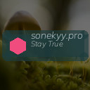 sonekyy.pro